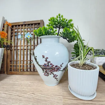 Hanyang Healing House - 외국인 전용